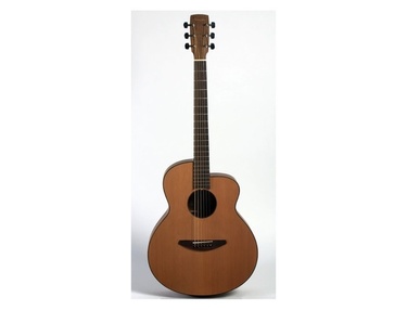 Acoustic-Electric Guitars | Equipboard