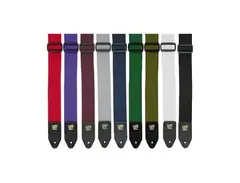 Ernie Ball 2" Poly Strap