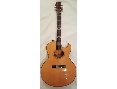 Washburn Woodstock 80