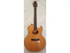 Washburn Woodstock 80 main image