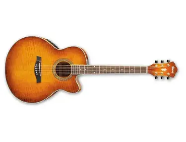 Ibanez AEL20E Acoustic-Electric Guitar