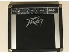 Peavey Backstage 80 Watt Combo Amplifier
