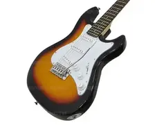 Strinberg Guitars EGS 2009 Stratocaster