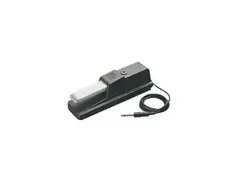 Roland DP-6 Sustain Pedal main image