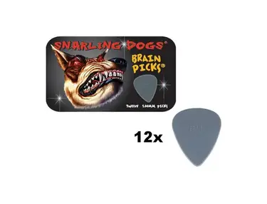 dAndrea Brain Nylon 1.00 mm Picks