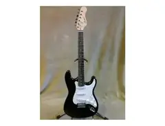 Kansas E200 Electric Guitar
