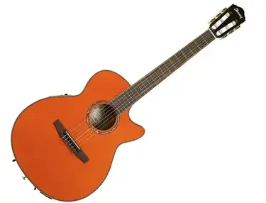 Ibanez AEG10NII Nylon String Cutaway 6 String Guitar