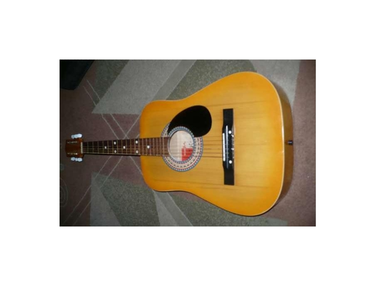 Defil Acoustic Guitar