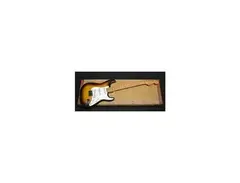 Miranda Stratocaster main image