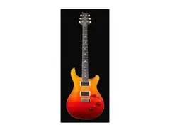 PRS P24 Trem main image