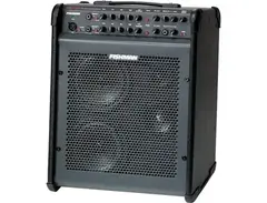 Fishman Loudbox Performer