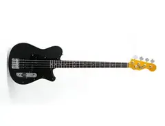 WILD-TV Ratbass main image