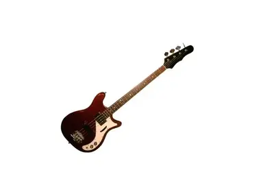 Epiphone Newport Bass