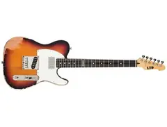 LTD TE-202 with mods