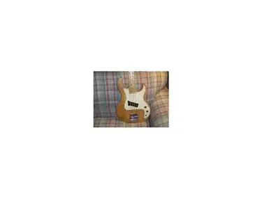 Peavey T-20 Bass Guitar