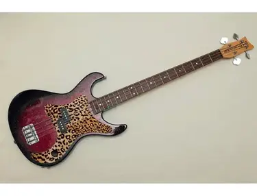 Danelectro Rumor Bass - - Custom Pick Guard and Kill Switch