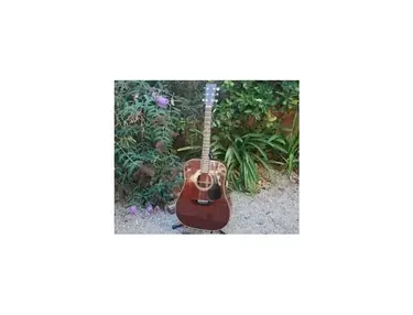 Takamine F-349