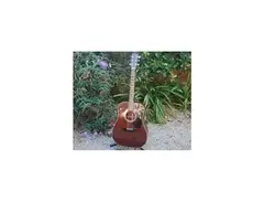 Takamine F-349 main image