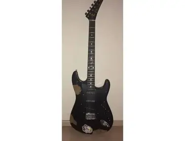 FS series by Aria Pro II