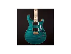 PRS P24 Custom Maple Neck main image