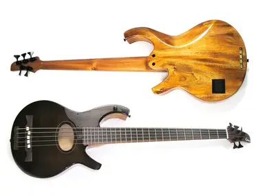 Citron AE5 Swallow Signature Custom