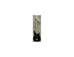 1988 Peavey Foundation main image