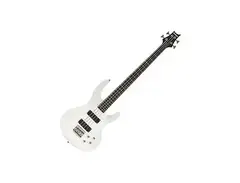 Sub Zero Atlanta 40 Bass Guitar main image