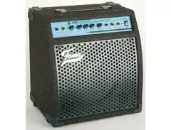 Fame Megatone Sl-30 Amp.(Combo) main image