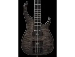Modulus Bass Quantum 5 with Q-tuner q2.0 pickups