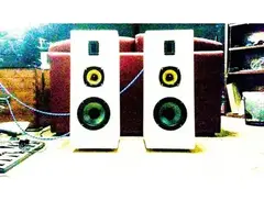 DAIMON Love&Hate stereo studio monitors