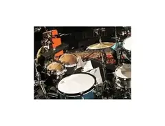 DW Drums Custom Built Concert Toms main image