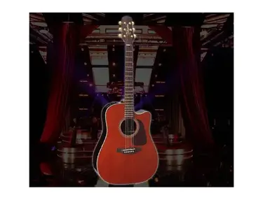 Takamine P5DC-WB
