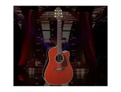 Takamine P5DC-WB