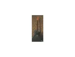 1999 Stolen Sonic Youth Guitar - 2005 Refinish main image