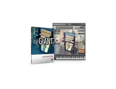 NI - The Giant main image