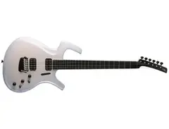 Parker Fly Electric Guitar