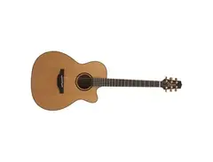 Takamine P3MC