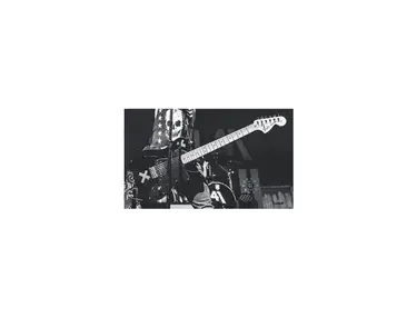 Fender Telecaster Thinline Custom