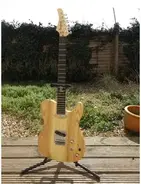 Benford Custom Telecaster main image