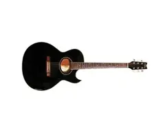 Washburn EA-20 Acoustic Guitar