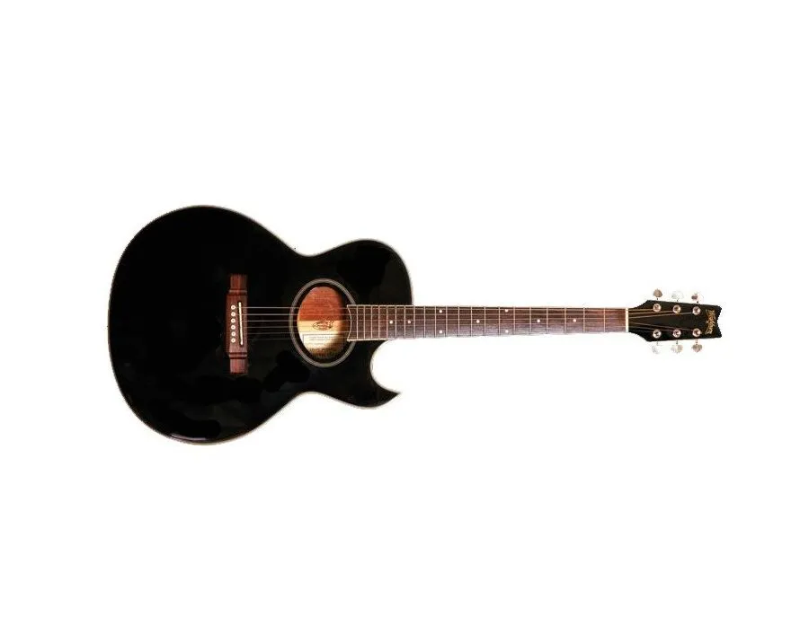 Washburn EA-20 Acoustic Guitar - What To Know & Where To Buy Washburn EA-20 Acoustic Guitar - What To Know & Where To Buy