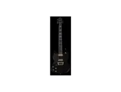 JayDee Custom Guitars SG Custom Oldboy Standard 2014