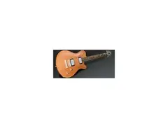 Framus Panthera