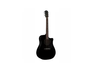 Fender DG-5CE