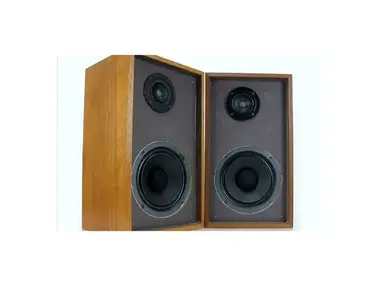 Realistic Dual Speakers