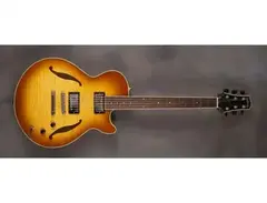 Sadowsky Semi-Hollow main image