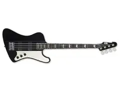 ESP LTD Phoenix 204 main image