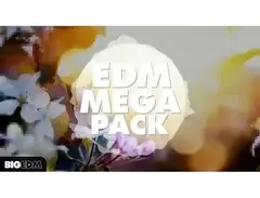 W.A. Production Big EDM EDM Mega Pack main image