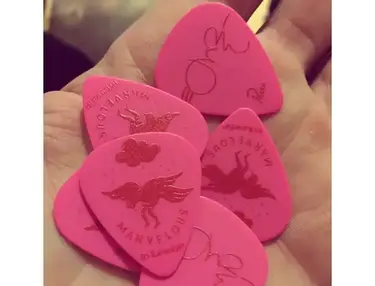 Piet Parra x Elliot James - Custom Guitar Picks