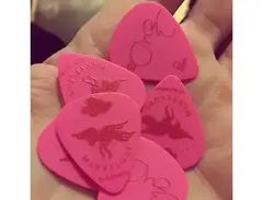 Piet Parra x Elliot James - Custom Guitar Picks